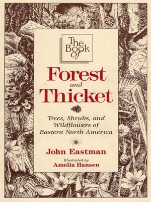 cover image of The Book of Forest & Thicket
